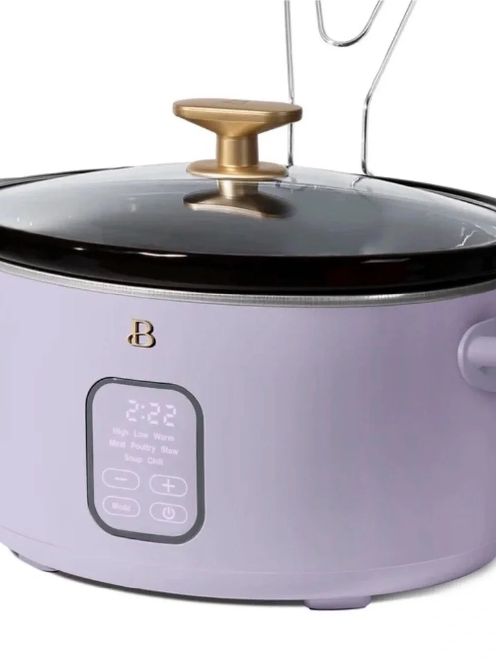 NWT Beautiful 6 Qt Programmable Slow Cooker | Color- Lavender